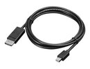 LENOVO Mini DisplayPort to DisplayPort Cable 0B47091