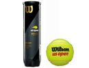 US Open (4) Tennis Balls tenisa bumbas