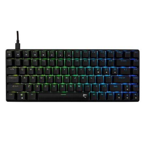 White shark GK-005121 Hamachi Mechanical RGB / US - Blue SW.