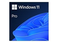 Microsoft MS ESD Win Pro 11 64-bit