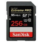 Sandisk by western digital MEMORY SDXC 256GB UHS-1/SDSDXXD-256G-GN4IN SANDISK