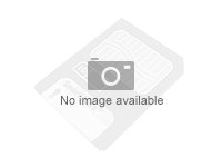 Kingston MEMORY SDXC 256GB UHS-I/SDG4/256GB