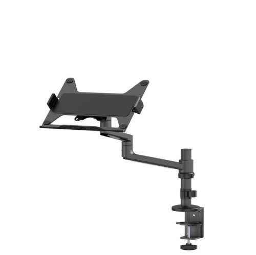 Neomounts NB ACC DESK STAND 11.6-17.3"/DS20-425BL1