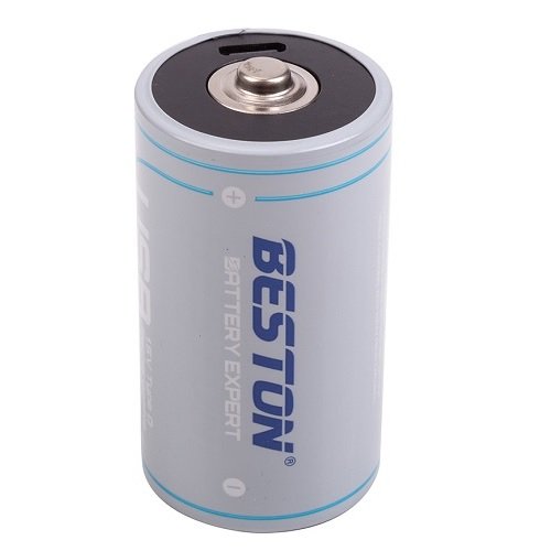 Beston(hk)industry company ltd. Rechargeable D Size Battery with USB-C Port, 1.5V, 4000mAh, Li-Ion