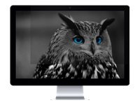 Natec NFP-1476 Privacy Filter RODO