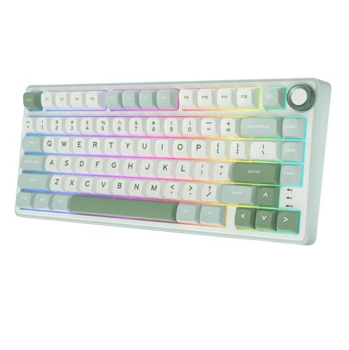 Royal kludge RK R75 RGB Sky Cyan wired keyboard | 75%, Hot-swap, Silver switches, US