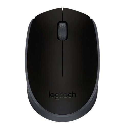 Logitech MOUSE USB OPTICAL WRL M171/BLACK 910-004424