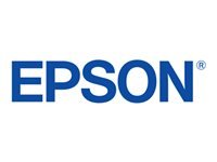 Epson 5LB UltraChrome DG Cyan T55B200
