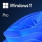Microsoft MS 1x Win 11 Pro 64Bit DVD OEM (EN)