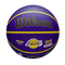 Nba_wilson basketball WILSON NBA PLAYER ICON basketbola bumba LA, LEBRON JAMES