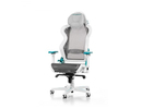 Dxracer Air Series R1S-WQG balts/ciāna ergonomisks krēsls