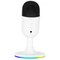 Marvo MIC-06 RGB white wired microphone |USB