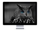 Natec NFP-1476 Privacy Filter RODO