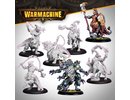 Steamforged games ltd. Warmachine - Khymaera Shard Incarnates Command Cadre