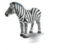 Schleich - Wild Pet Zebra Figurine