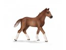 Schleich - Hanoverian Foal