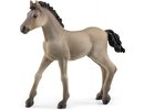 Schleich - Horse Club Criollo Foal