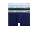 Tommy hilfiger Brief 3P - ornamental green/purple navy/vessel blue