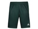 Le coq sportif Tennis Pro Short 24 N°2 - green