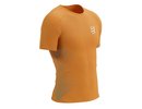 Compressport Performance SS Tshirt - autumn glory/hawaiian ocean