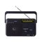 Tracer 47775 GTX100 Radio FM